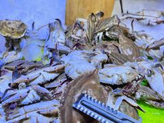 -聚盛源蒸汽海鲜火锅烤肉自助(巨川金海岸购物广场店)