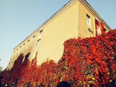 -辽宁大学(崇山校区)