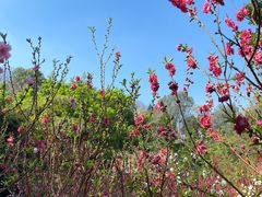 -广州市白云山风景名胜区