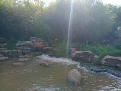 -洛龙公园