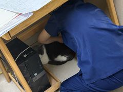 -爱妮康宠物医院·干细胞免疫细胞·肿瘤·心脏(张江店)