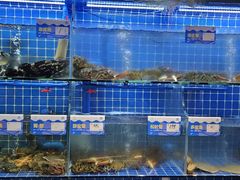 -大厨的餐厅(曾厝垵总店)