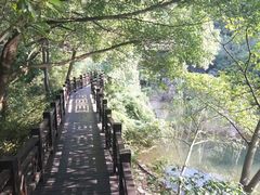 -白马涧龙池景区