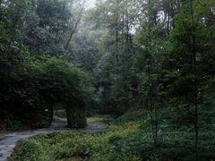-常德桃花源景区