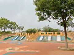 -大兴滨河森林公园