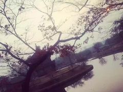-景福宫