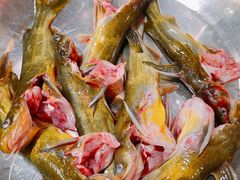 三角峰-肖肖酸萝卜鱼火锅(总店)