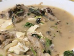 -煲来饱去冷水鱼