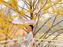 -重庆南山海昌汤都