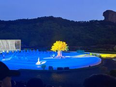 -鼎盛王朝康熙大典实景演出