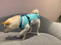 -LR HOUSE美甲美睫