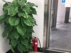 -布瑞琳洗衣(万泉新新家园店)