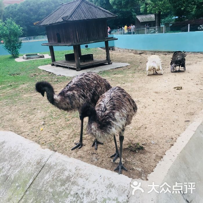 珍珠泉野生动物生态园