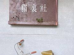 -猫里有甜