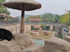 -石家庄市动物园