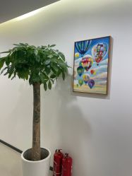 -丰联丽格医疗美容·联合丽格眼整形中心
