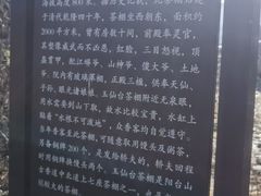 -阳台山自然风景区