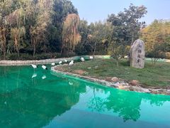 -杭州野生动物世界