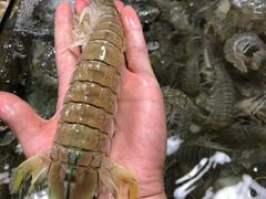 -渔家小院观海海肠捞饭地方菜(环海中路店)