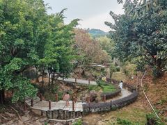 -罗浮山嘉宝田森林温泉度假酒店