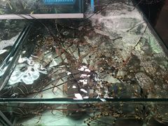 -班赞海鲜市场