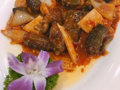 -燕春楼(海河华鼎店)