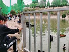 -五龙山野生动物王国