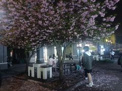 -同济大学(嘉定校区)