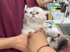 -美联众合动物医院·24h京西诊疗中心