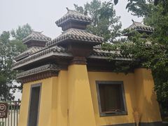-御林古桑园