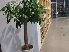 -华为授权体验店(中山公园来福士)