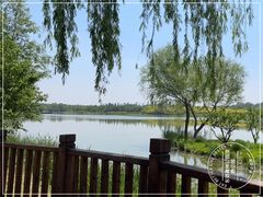 -东郊湿地公园