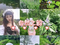 -云溪植物园