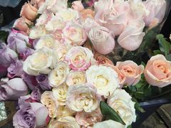 -循礼门鲜花花市(武汉循礼门店)