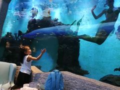 -瑞德姆美人鱼海底演艺主题餐厅(亚龙湾店)