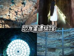 -中国西峡恐龙遗迹园