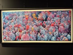 -罗红摄影艺术馆