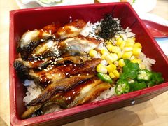 鳗鱼定食-元气寿司(新城市广场店)