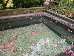 -厦门日月谷温泉渡假村