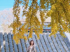 -自如ZSPACE四合院艺术餐厅
