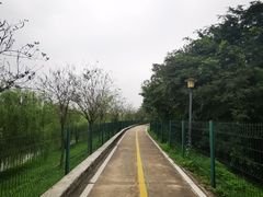 -广东花都湖国家湿地公园