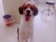 -嘟宝宠物生活馆(白桦林居店)