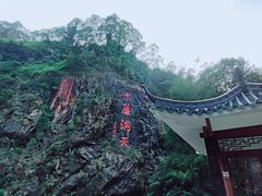 -水濂山森林公园