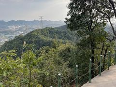 -南山植物园