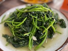 清炒苕尖-小李子油焖大虾向阳总店