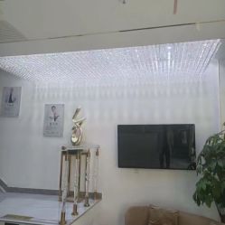 -北京丽星翼美医疗美容