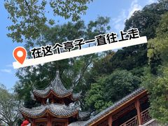 -阳台山森林公园