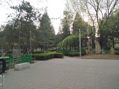 -双榆树公园