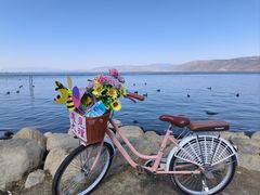 -洱海月湿地公园