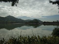 -顺峰山公园